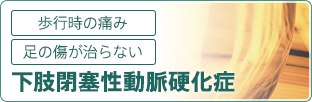 ［歩行時の痛み］［足の傷が治らない］下肢閉塞性動脈硬化症